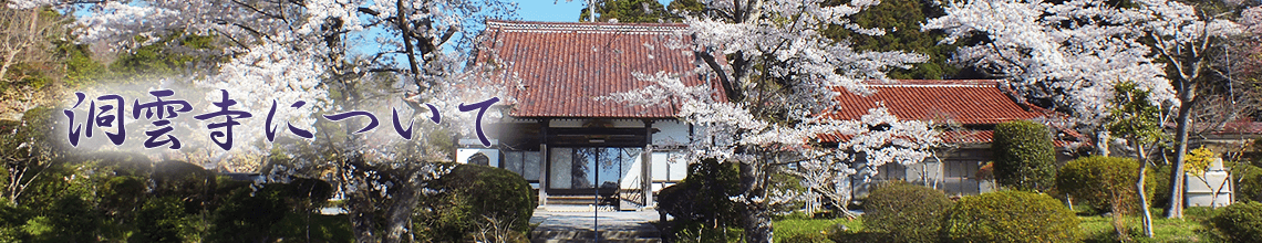 洞雲寺について